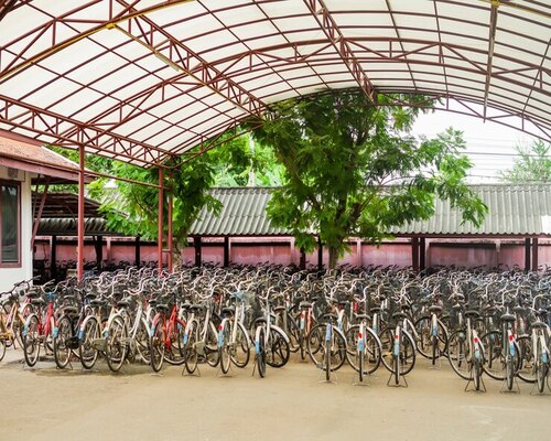 Cycle Stand